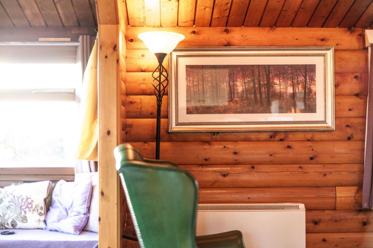 Log Cabin Nestled In The Mountains Of Snowdonia By Seren Property Trawsfynydd Zewnętrze zdjęcie